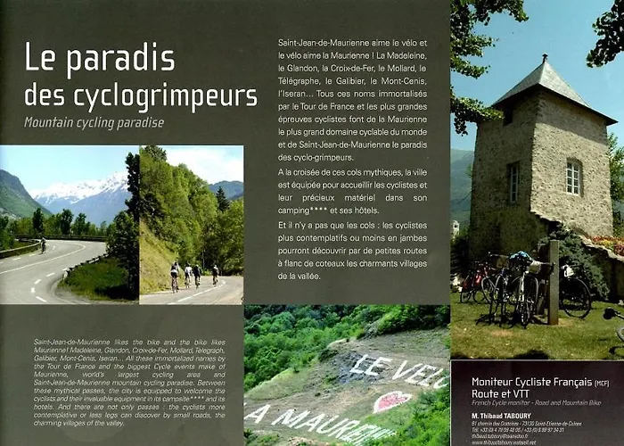 Les Cyclamens